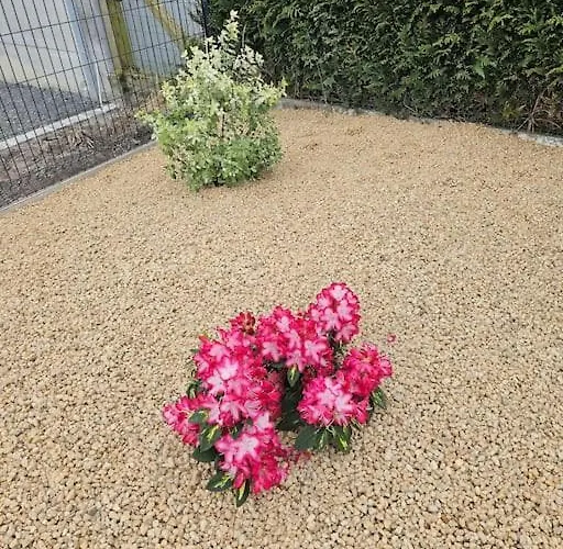 La Suretiere Dom wakacyjny